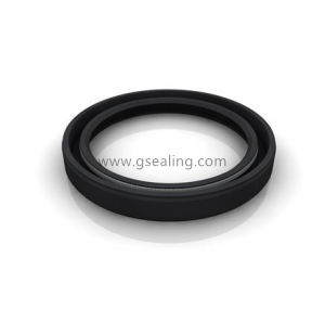 TC Motor oil seal